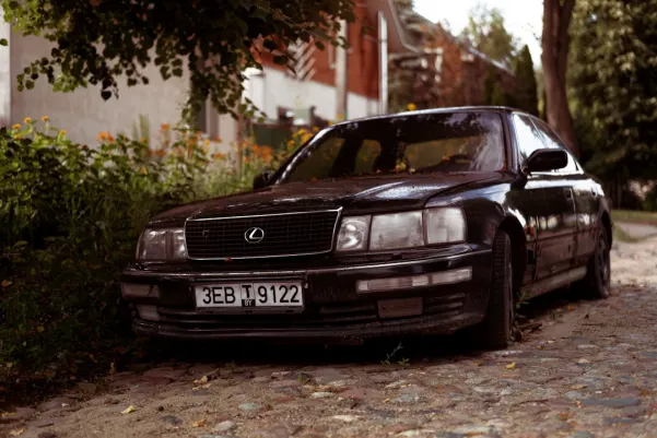 WinFest Casino Android/iOS Forrit